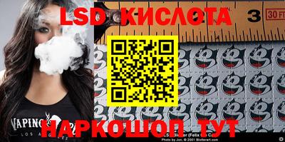 PSILOCYBIN Гатчина