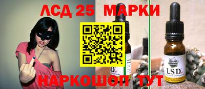 PSILOCYBIN Гатчина
