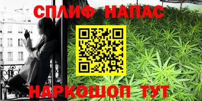 PSILOCYBIN Гатчина