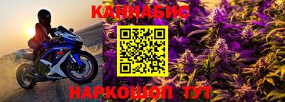 сатива Гагарин