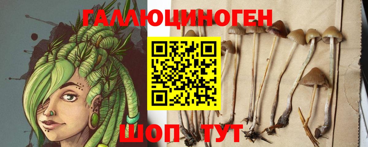 Псилоцибиновые грибы Magic Shrooms Муром